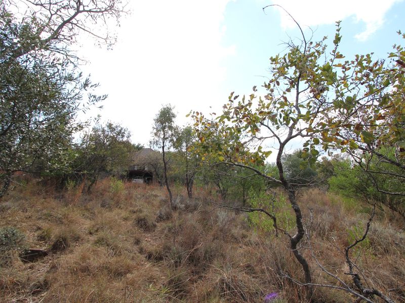 THIS 1350 SQ METER STAND ON THE AMAZING KORO CREEK GOLF ESTATE COULD BE YOURS. - Photo 5