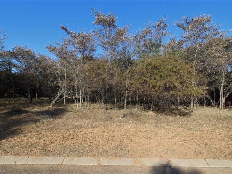 Beautiful stand in Koro Creek Bushveld Golf Estate - Photo 10