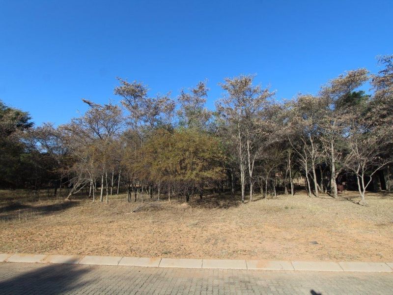 Beautiful stand in Koro Creek Bushveld Golf Estate - Photo 6