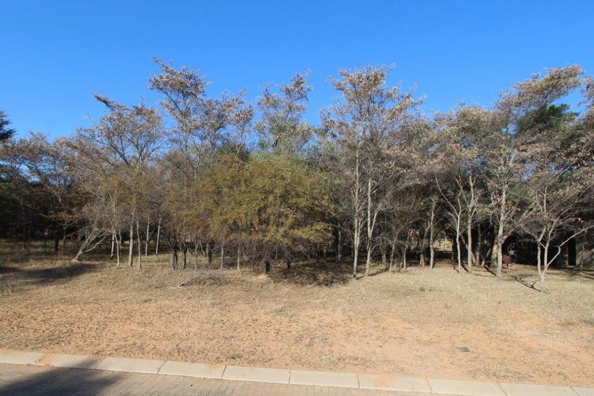 Beautiful stand in Koro Creek Bushveld Golf Estate - Photo 4