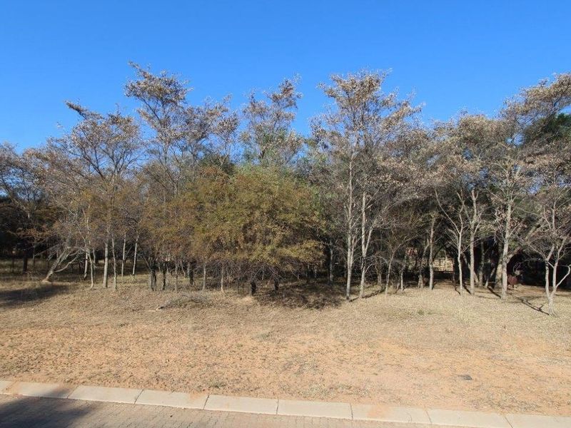 Beautiful stand in Koro Creek Bushveld Golf Estate - Photo 4