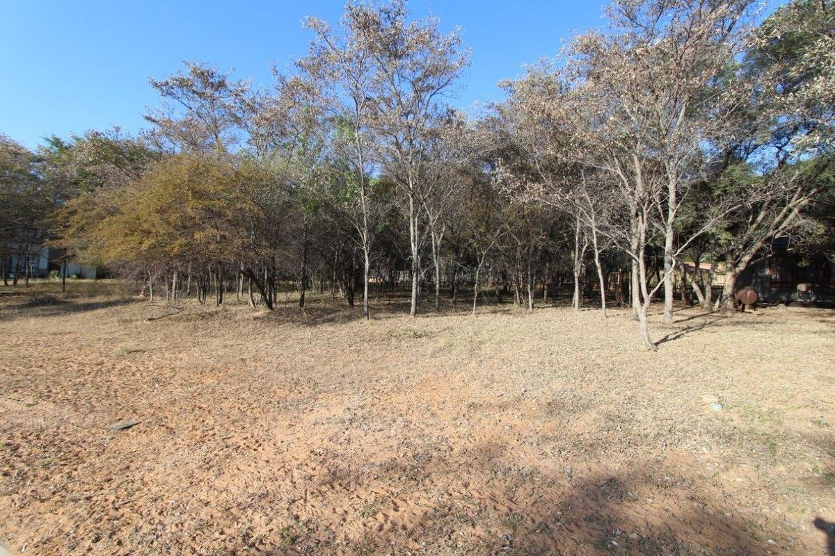 Beautiful stand in Koro Creek Bushveld Golf Estate - Photo 2