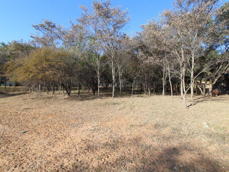 Beautiful stand in Koro Creek Bushveld Golf Estate - Photo 2