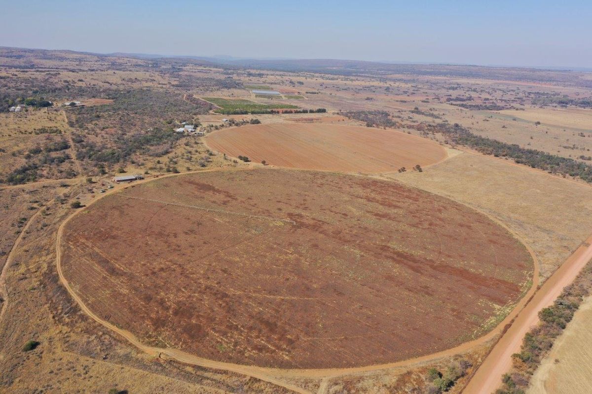 Self sustainable farm for sale in Limpopo - Photo 2