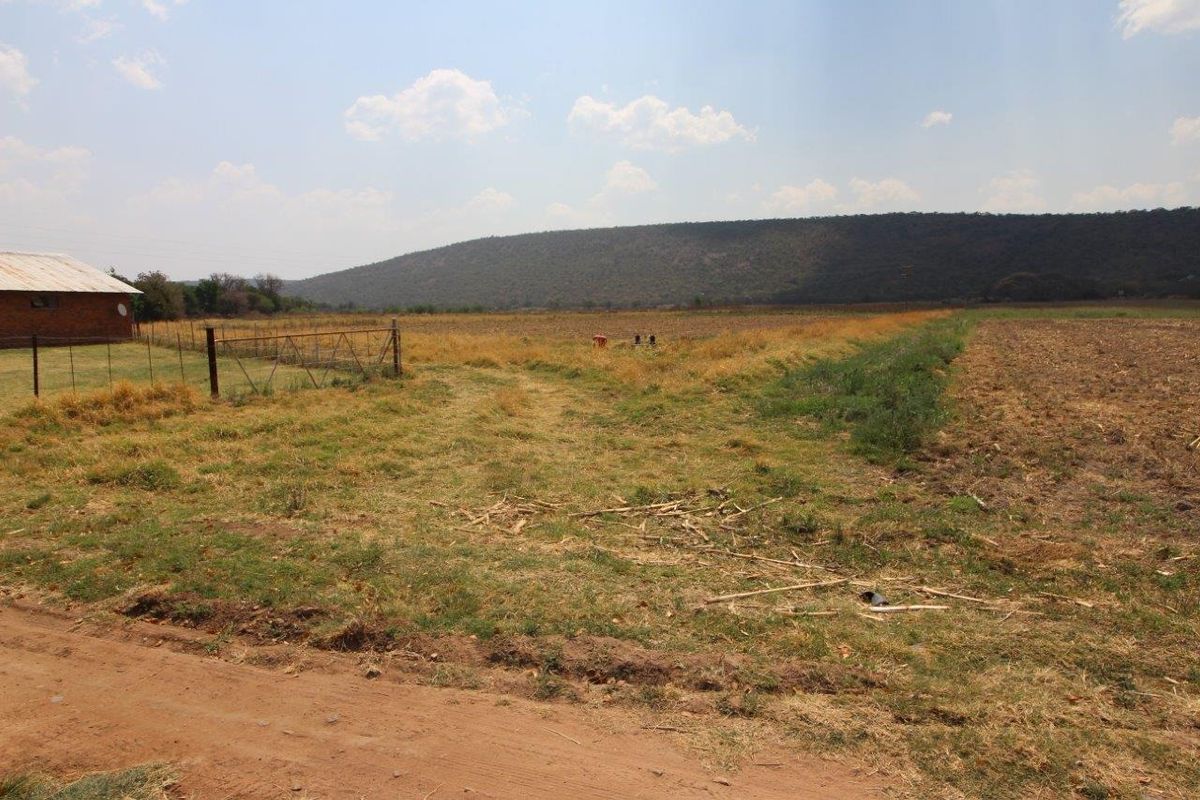 Farm For Sale In Modimolle - Photo 3