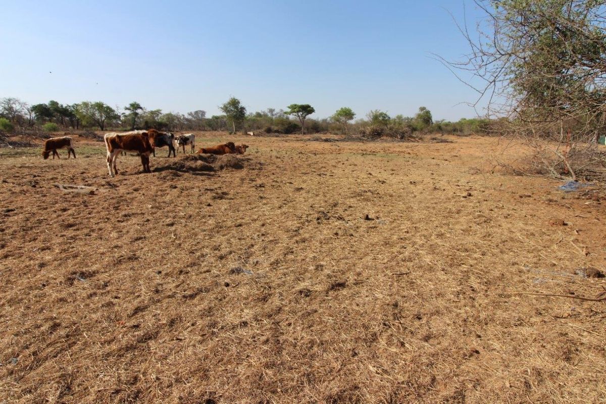 Farm For Sale In Modimolle - Photo 2