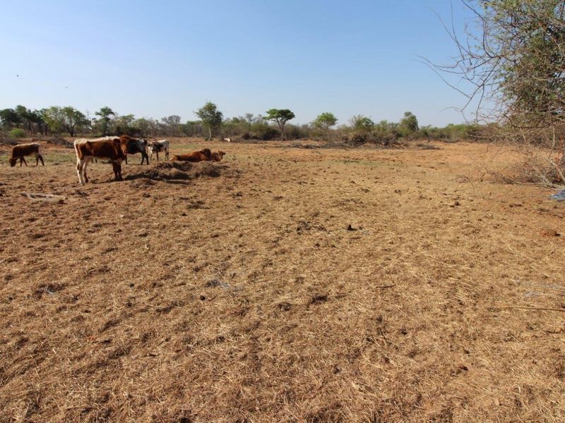 Farm For Sale In Modimolle - Photo 2