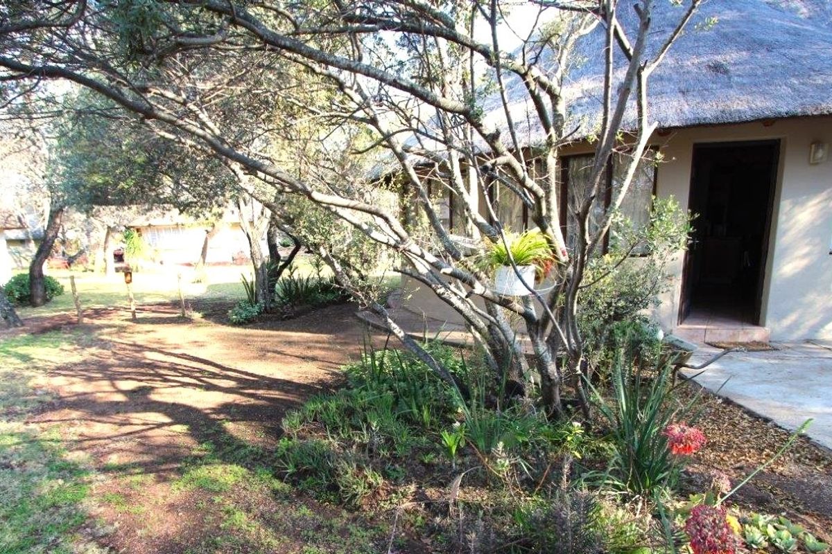 Here is opportunity for your own piece of bushveld! - Photo 2