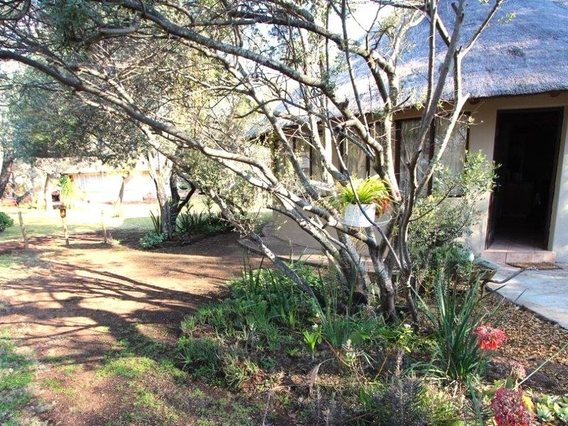 Here is opportunity for your own piece of bushveld! - Photo 2