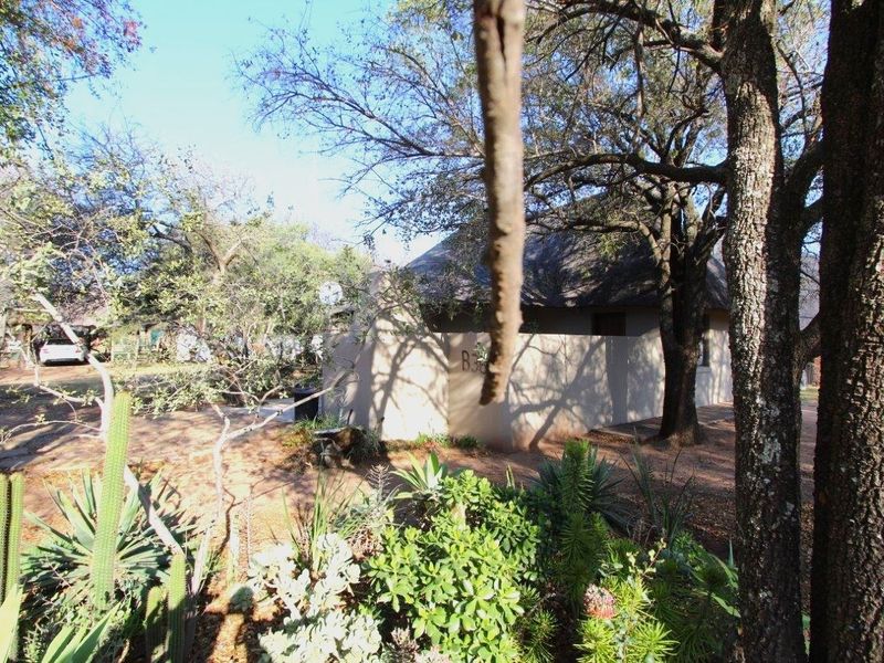 Here is opportunity for your own piece of bushveld! - Photo 10