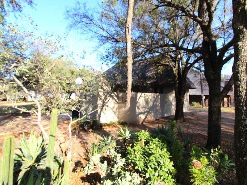 Here is opportunity for your own piece of bushveld! - Photo 9