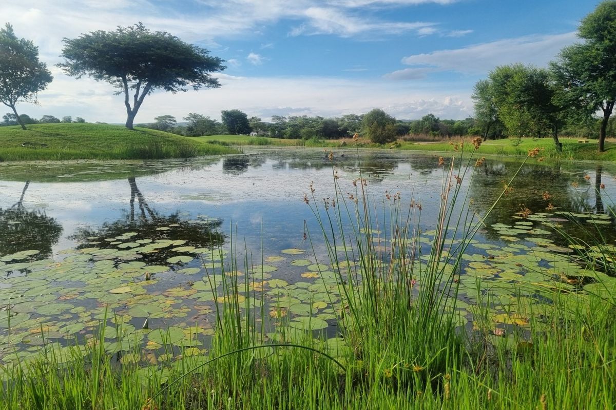 Vacant Land Residential For Sale In Modimolle - Photo 2