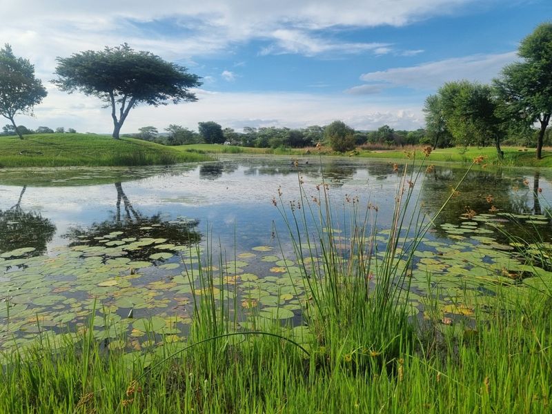 Vacant Land Residential For Sale In Modimolle - Photo 2