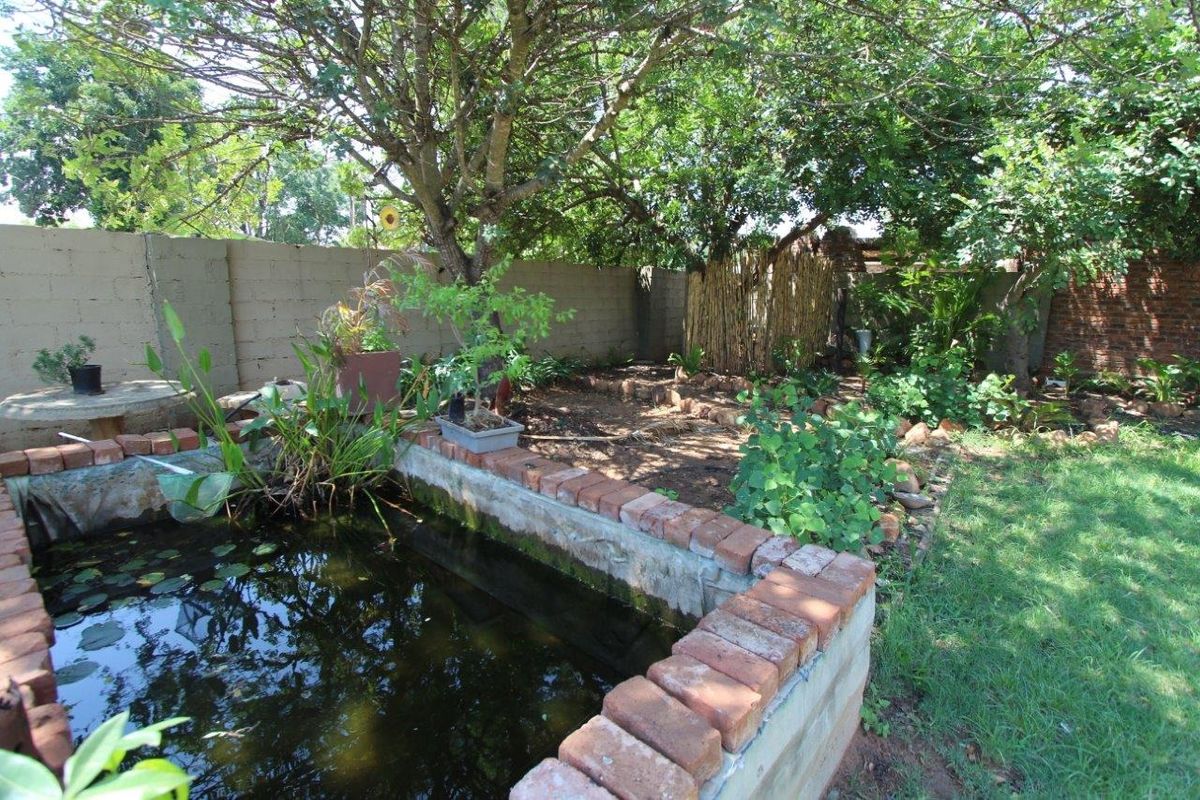 Three in One! - Photo 3