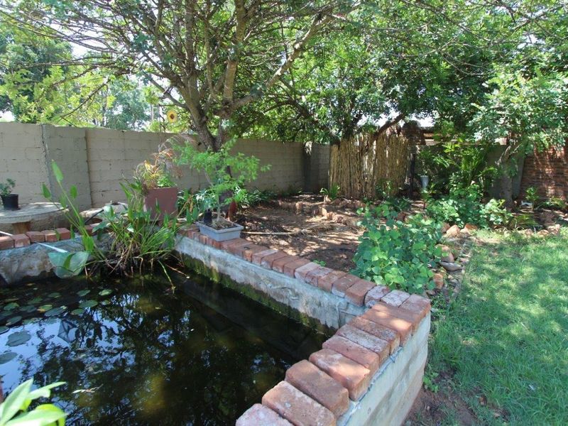 Three in One! - Photo 3