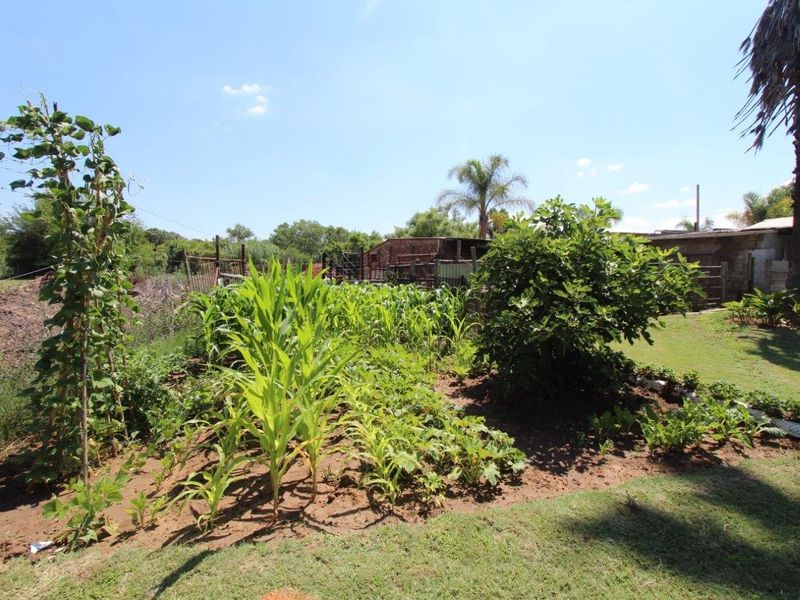 Three in One! - Photo 8