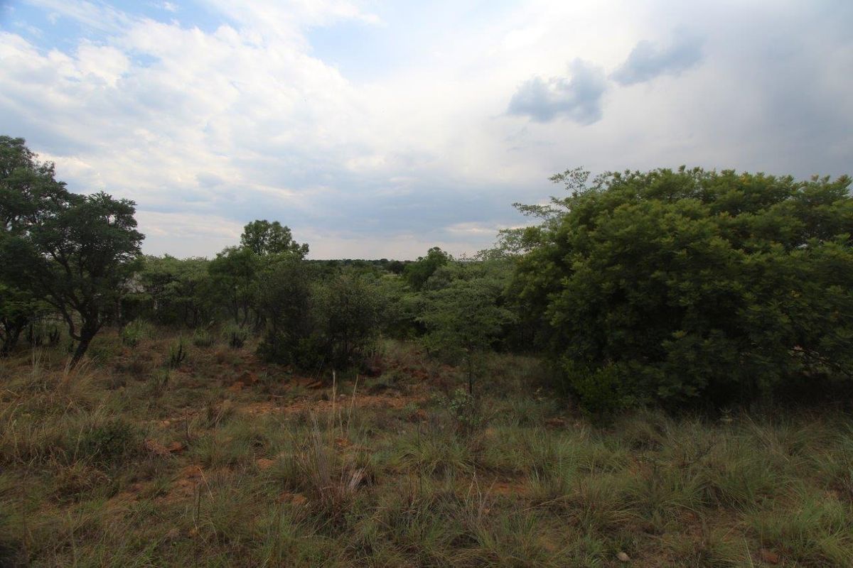 Seize the Opportunity: Prime Stand for Sale in Koro Creek Bushveld Golf Estate! - Photo 2