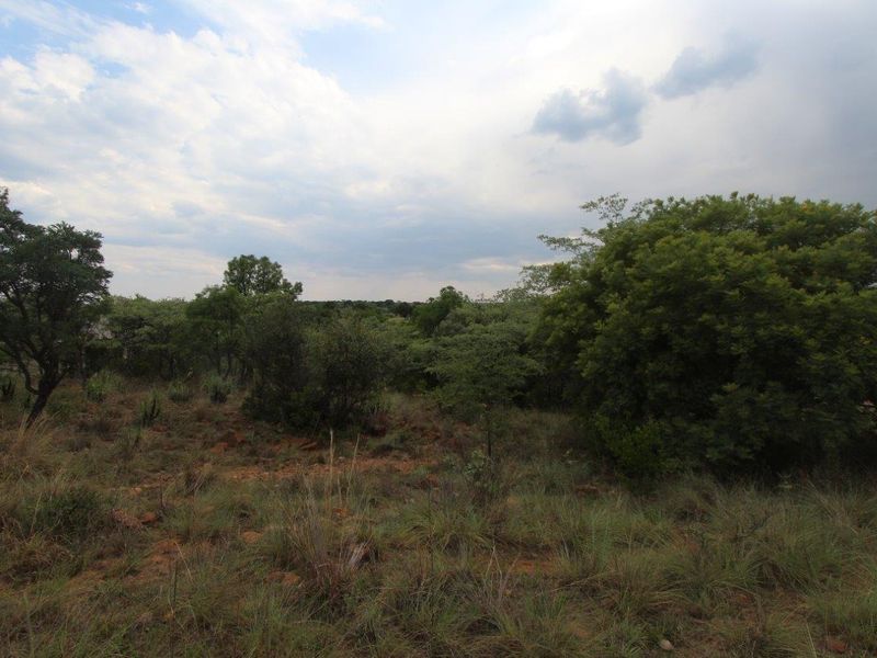 Seize the Opportunity: Prime Stand for Sale in Koro Creek Bushveld Golf Estate! - Photo 2