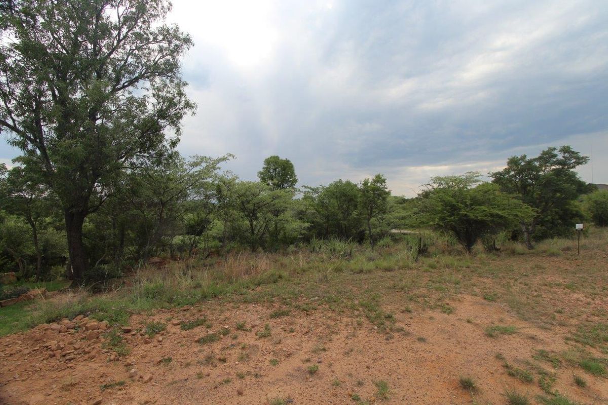 Seize the Opportunity: Prime Stand for Sale in Koro Creek Bushveld Golf Estate! - Photo 3
