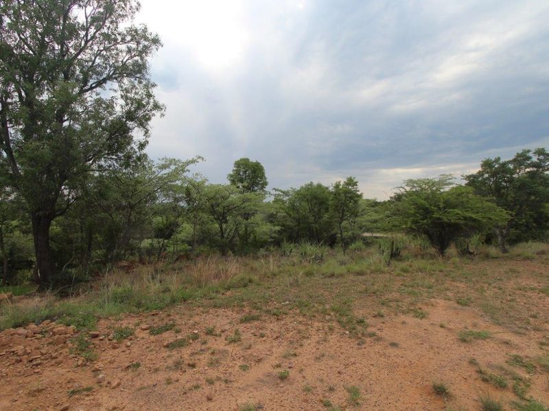 Seize the Opportunity: Prime Stand for Sale in Koro Creek Bushveld Golf Estate! - Photo 3
