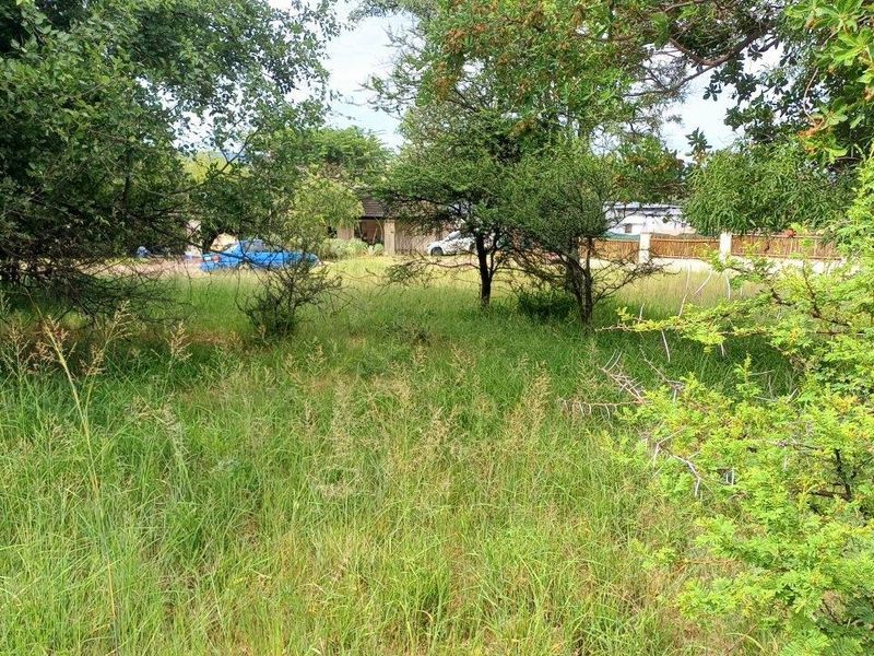 YOUR CANVASS IN THE BUSHVELD - Photo 8