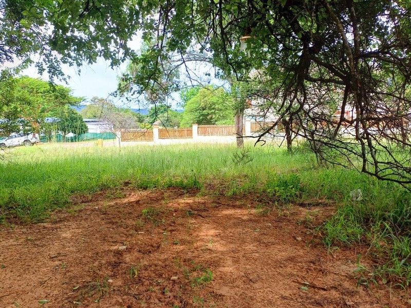 YOUR CANVASS IN THE BUSHVELD - Photo 7