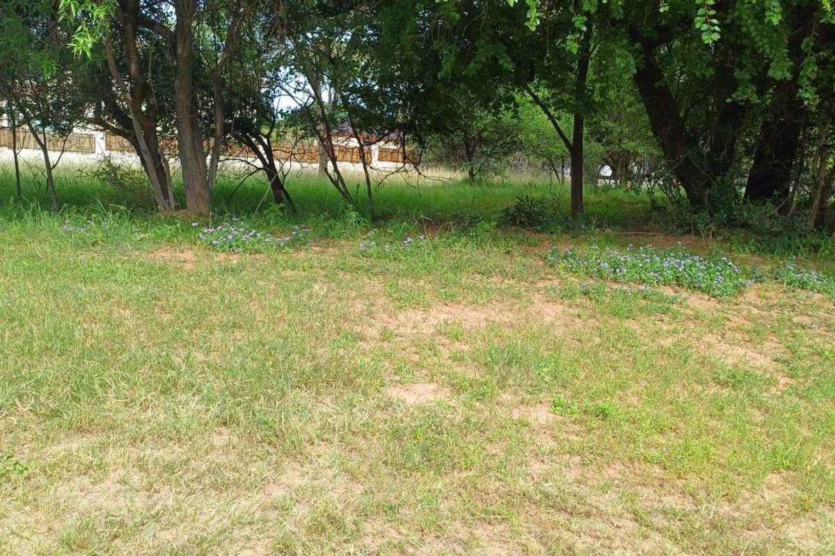 YOUR CANVASS IN THE BUSHVELD - Photo 2