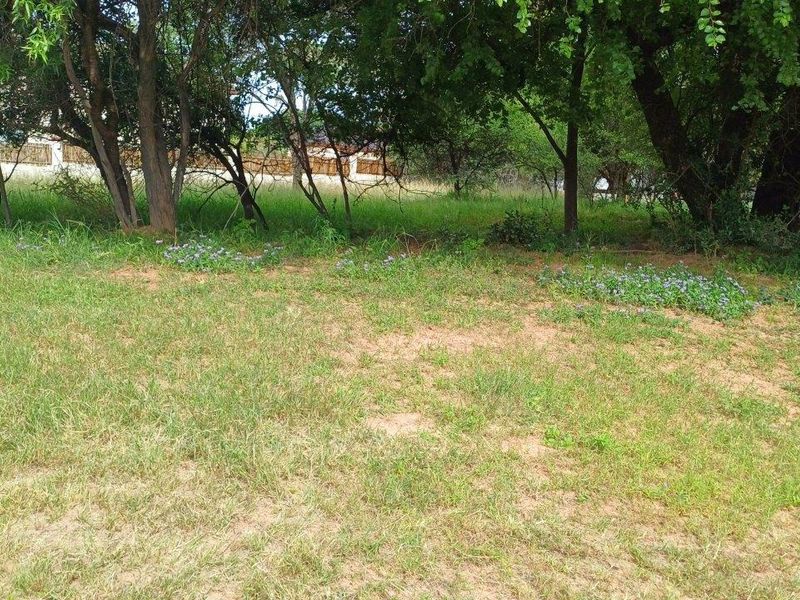 YOUR CANVASS IN THE BUSHVELD - Photo 2