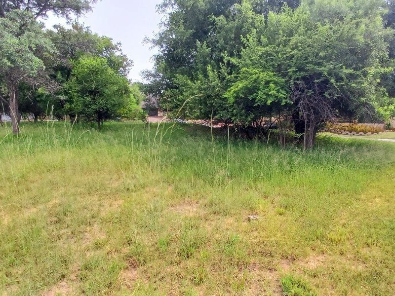 YOUR CANVASS IN THE BUSHVELD - Photo 5
