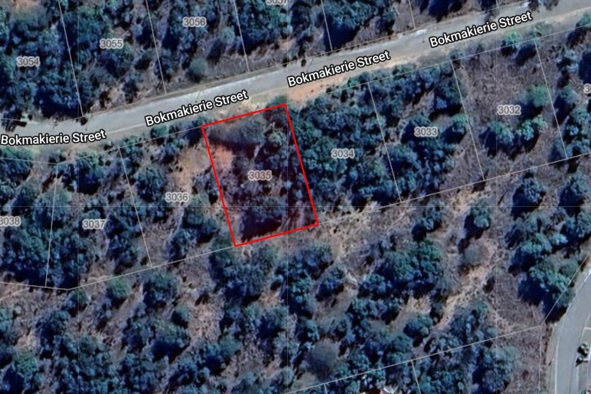 BUSHVELD DREAMS COME TRUE: YOUR EXCLUSIVE RETREAT - Photo 2