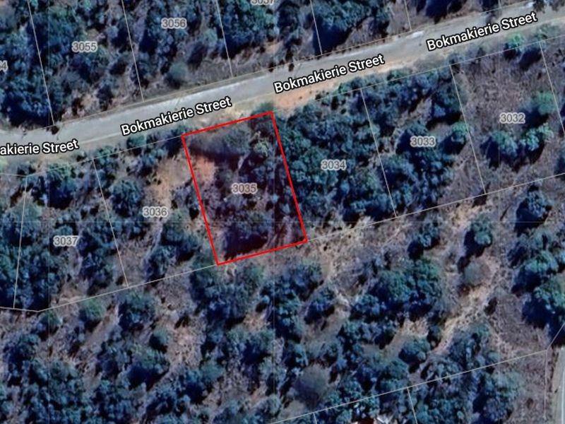 BUSHVELD DREAMS COME TRUE: YOUR EXCLUSIVE RETREAT - Photo 2