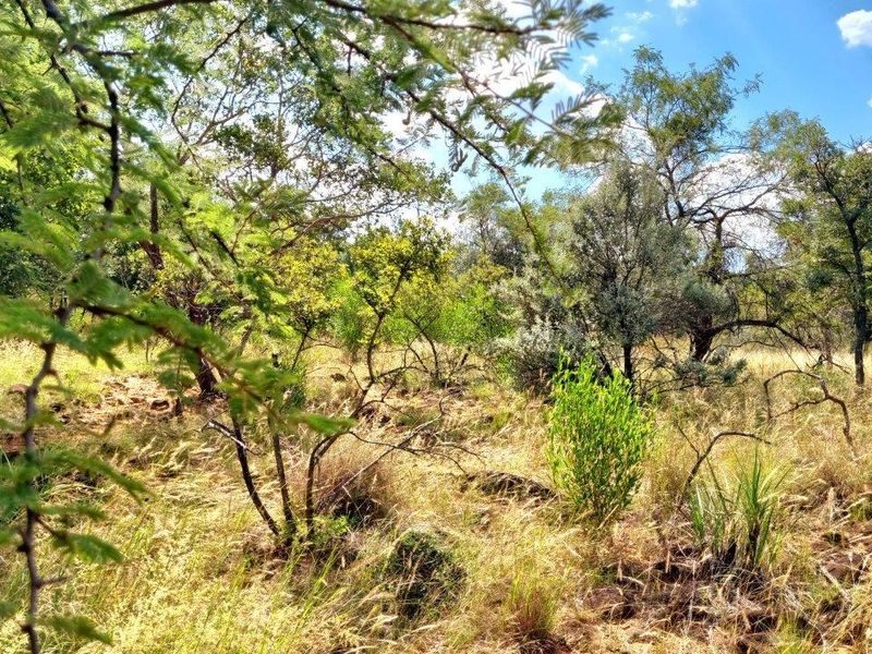 BUSHVELD DREAMS COME TRUE: YOUR EXCLUSIVE RETREAT - Photo 10