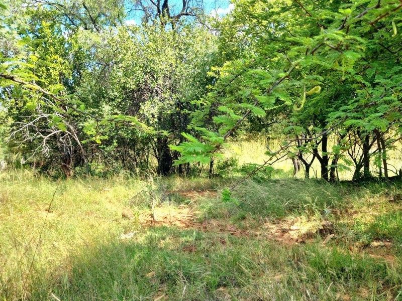 BUSHVELD DREAMS COME TRUE: YOUR EXCLUSIVE RETREAT - Photo 8