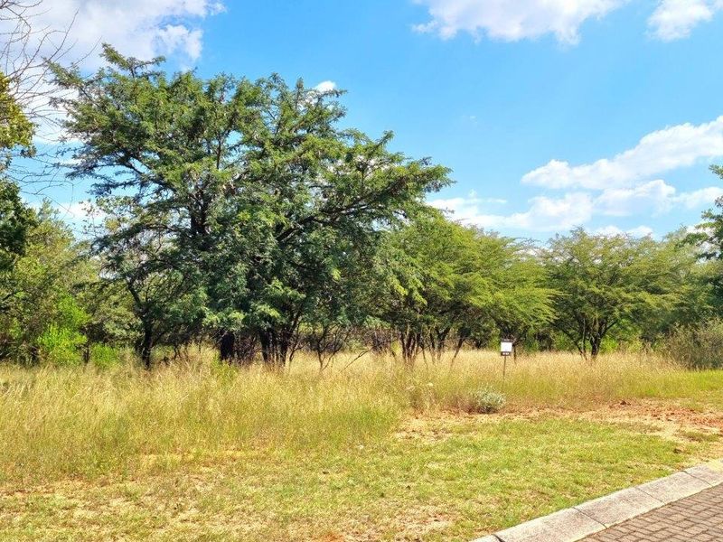 BUSHVELD DREAMS COME TRUE: YOUR EXCLUSIVE RETREAT - Photo 6