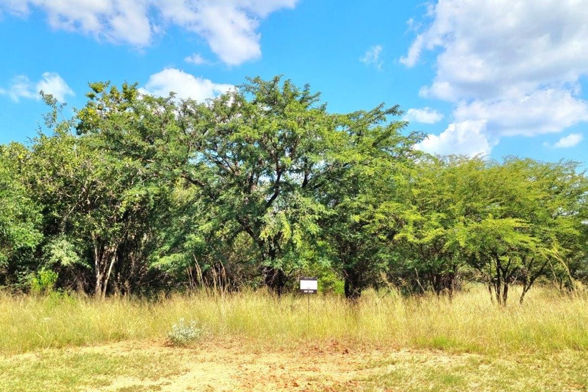 BUSHVELD DREAMS COME TRUE: YOUR EXCLUSIVE RETREAT - Photo 4