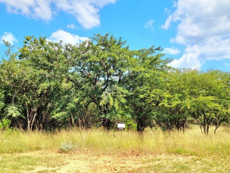 BUSHVELD DREAMS COME TRUE: YOUR EXCLUSIVE RETREAT - Photo 4