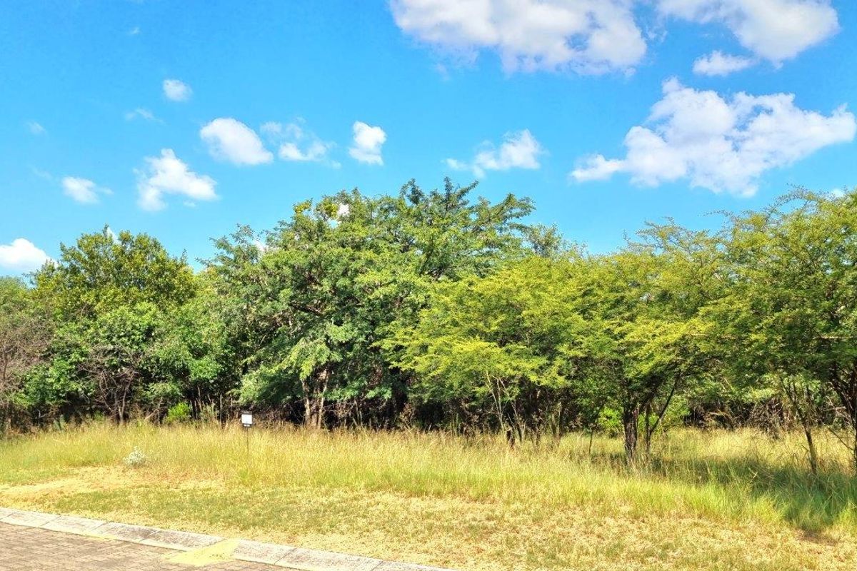 BUSHVELD DREAMS COME TRUE: YOUR EXCLUSIVE RETREAT - Photo 5