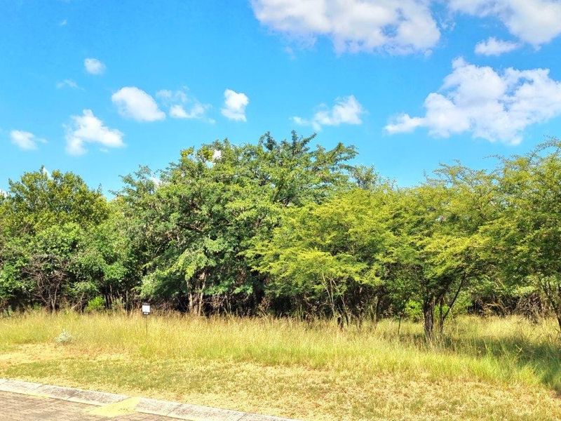 BUSHVELD DREAMS COME TRUE: YOUR EXCLUSIVE RETREAT - Photo 5