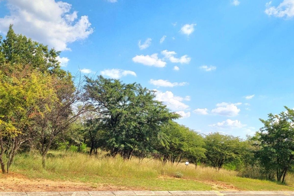 BUSHVELD DREAMS COME TRUE: YOUR EXCLUSIVE RETREAT - Photo 3