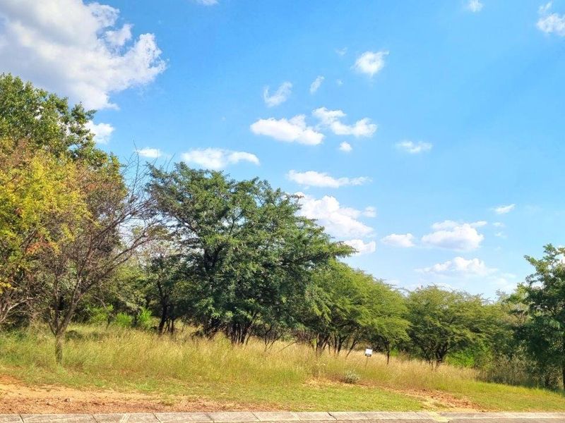 BUSHVELD DREAMS COME TRUE: YOUR EXCLUSIVE RETREAT - Photo 3