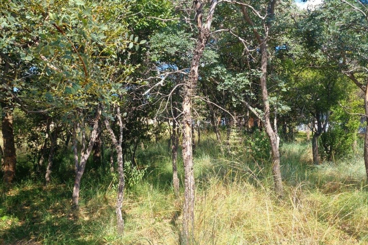 WILDERNESS AWAITS: YOUR CANVAS IN THE HEART OF THE BUSHVELD - Photo 5