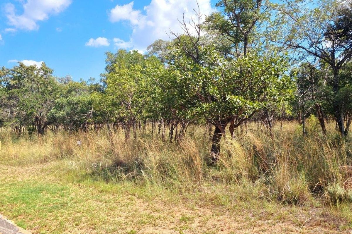 WILDERNESS AWAITS: YOUR CANVAS IN THE HEART OF THE BUSHVELD - Photo 3