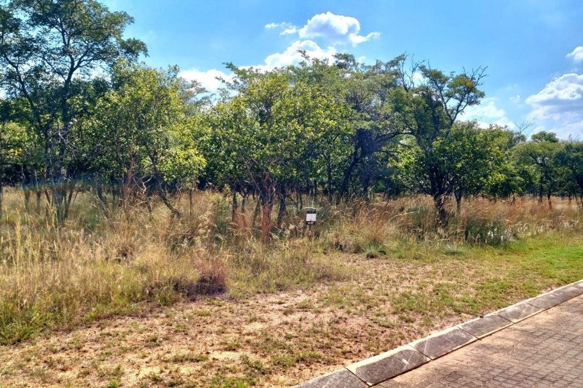 WILDERNESS AWAITS: YOUR CANVAS IN THE HEART OF THE BUSHVELD - Photo 2