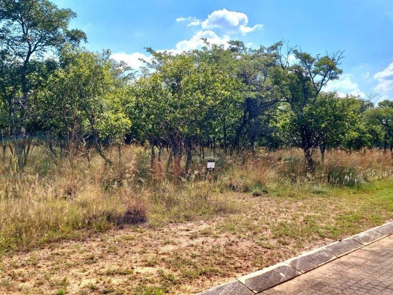 WILDERNESS AWAITS: YOUR CANVAS IN THE HEART OF THE BUSHVELD - Photo 2