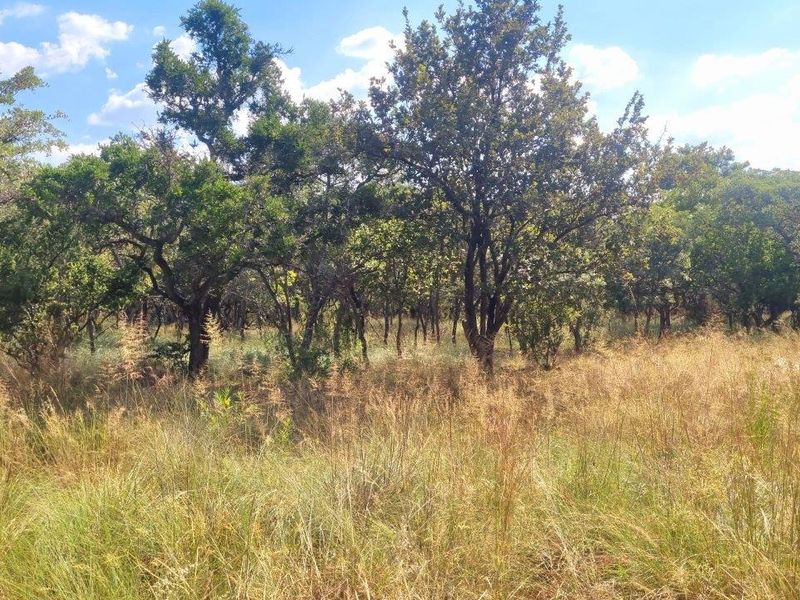 WILDERNESS AWAITS: YOUR CANVAS IN THE HEART OF THE BUSHVELD - Photo 7