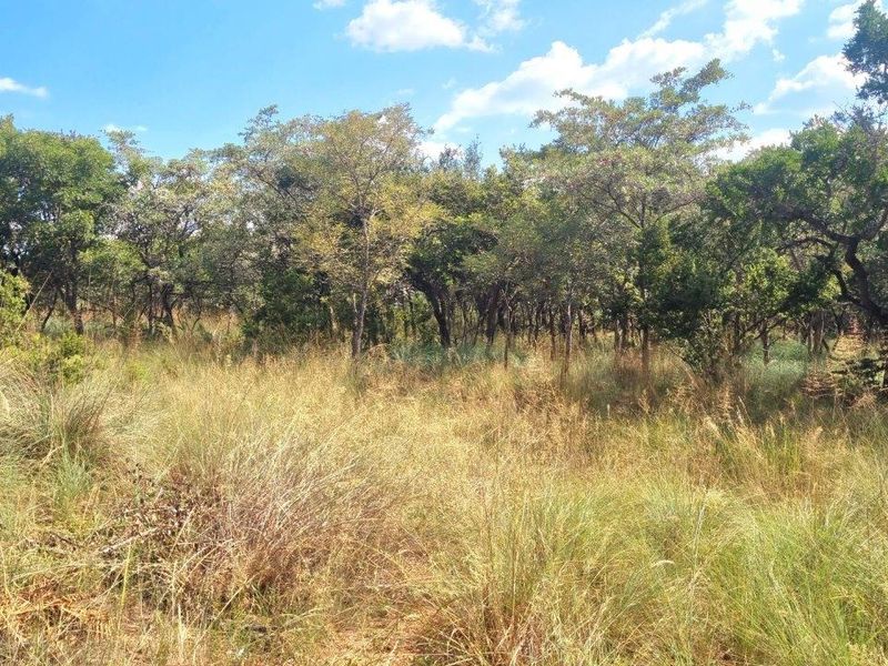 WILDERNESS AWAITS: YOUR CANVAS IN THE HEART OF THE BUSHVELD - Photo 6