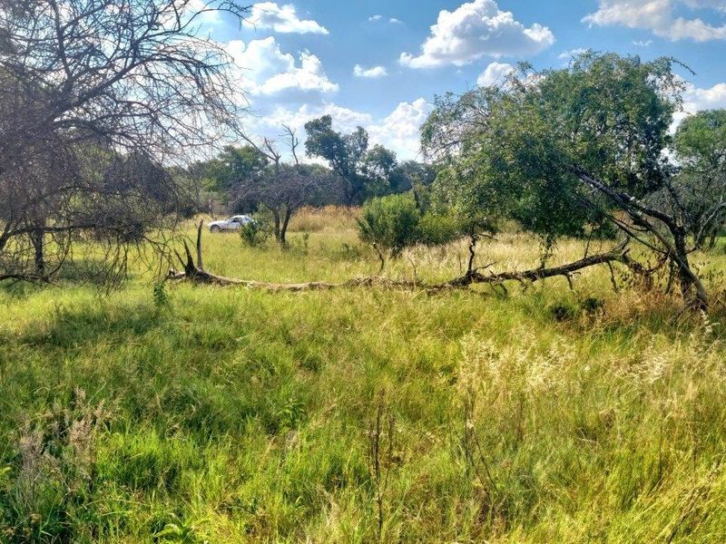 BUSHVELD BLISS: YOUR SANCTUARY AMIDST NATURE - Photo 10