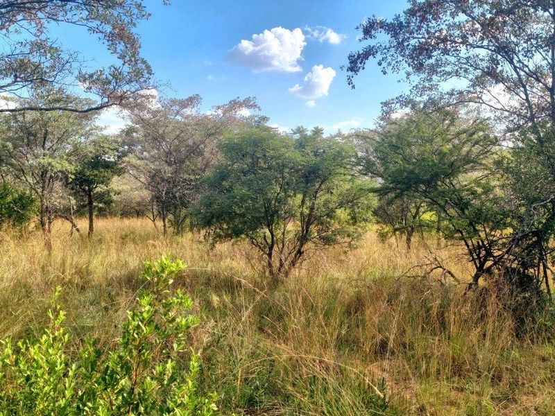 WILDLIFE PARADISE STAND IN THE HEART OF THE BUSHVELD! - Photo 9