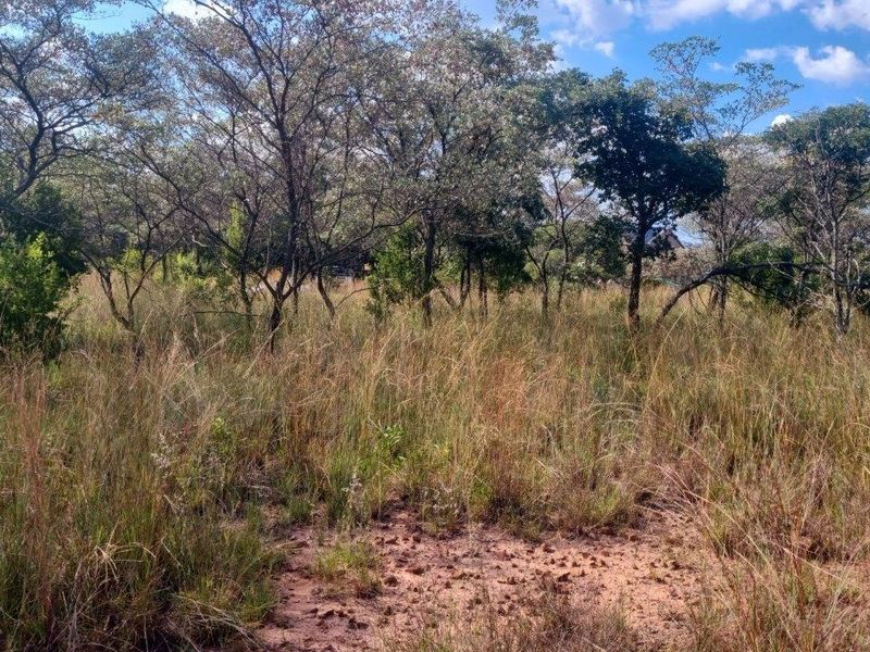 WILDLIFE PARADISE STAND IN THE HEART OF THE BUSHVELD! - Photo 7