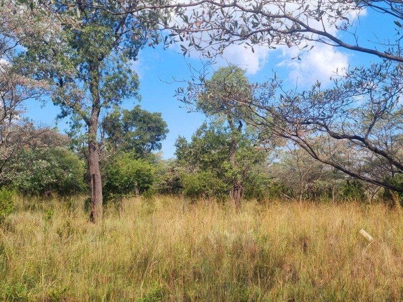 WILDLIFE PARADISE STAND IN THE HEART OF THE BUSHVELD! - Photo 6